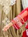 fancy-organza-3pcs-womens-stitched-fancy-organza-embroidered-suit-elevate-your-wardrobe-with-our-festive-collection - 7.webp