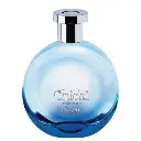 sapil-chichi-perfume-for-men-100ml-best-quality-fragrances-for-men - 3.webp