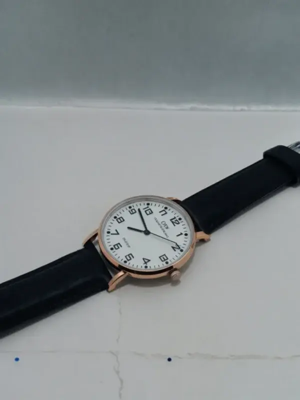 family-gift-pack-of-3-watches-best-quality-watches-daniel-wellington-watch-lg-quartz-watch-apple-logo-digital-watch-watches-without-box - 5.webp