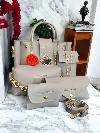 CHARLES & KEITH-SILVER (5 Pcs)